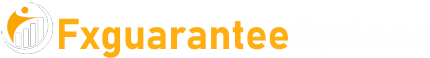 Fxguaranteeoptions.com logo